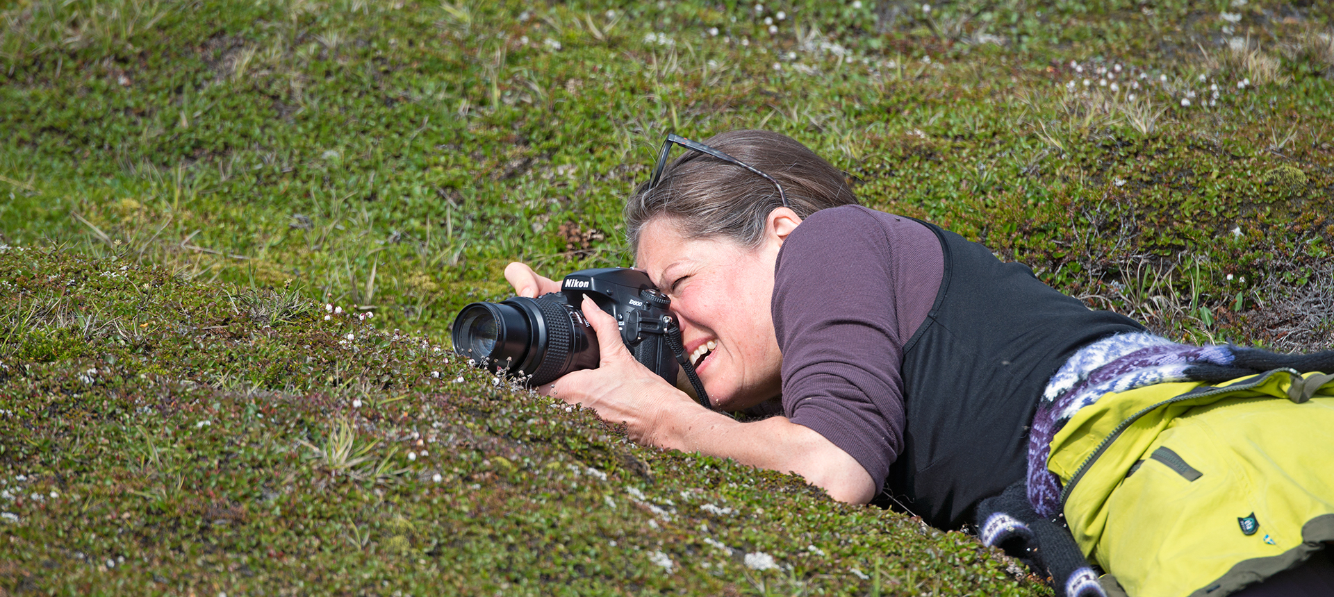 Karin ligger på marken och fotograferar mossljung i Blomsterdalen på östra Grönland.
