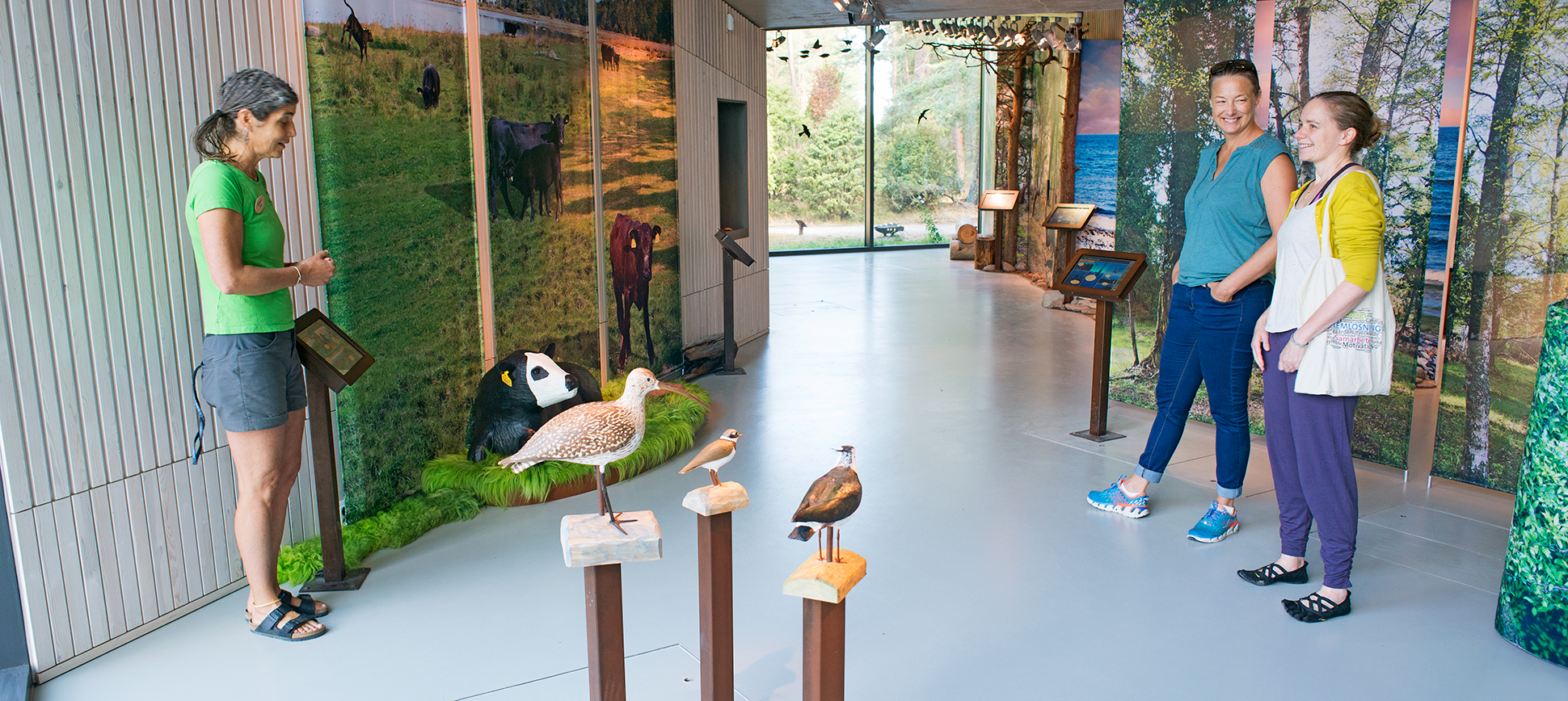 Naturvägledare guidar besökare bland träsnidade fåglar och kalv i utställningen i besökscentret naturum Trollskogen, på norra Öland.Träsnidade fåglar och kalv i utställningen i besökscentret naturum Trollskogen, på norra Öland.
