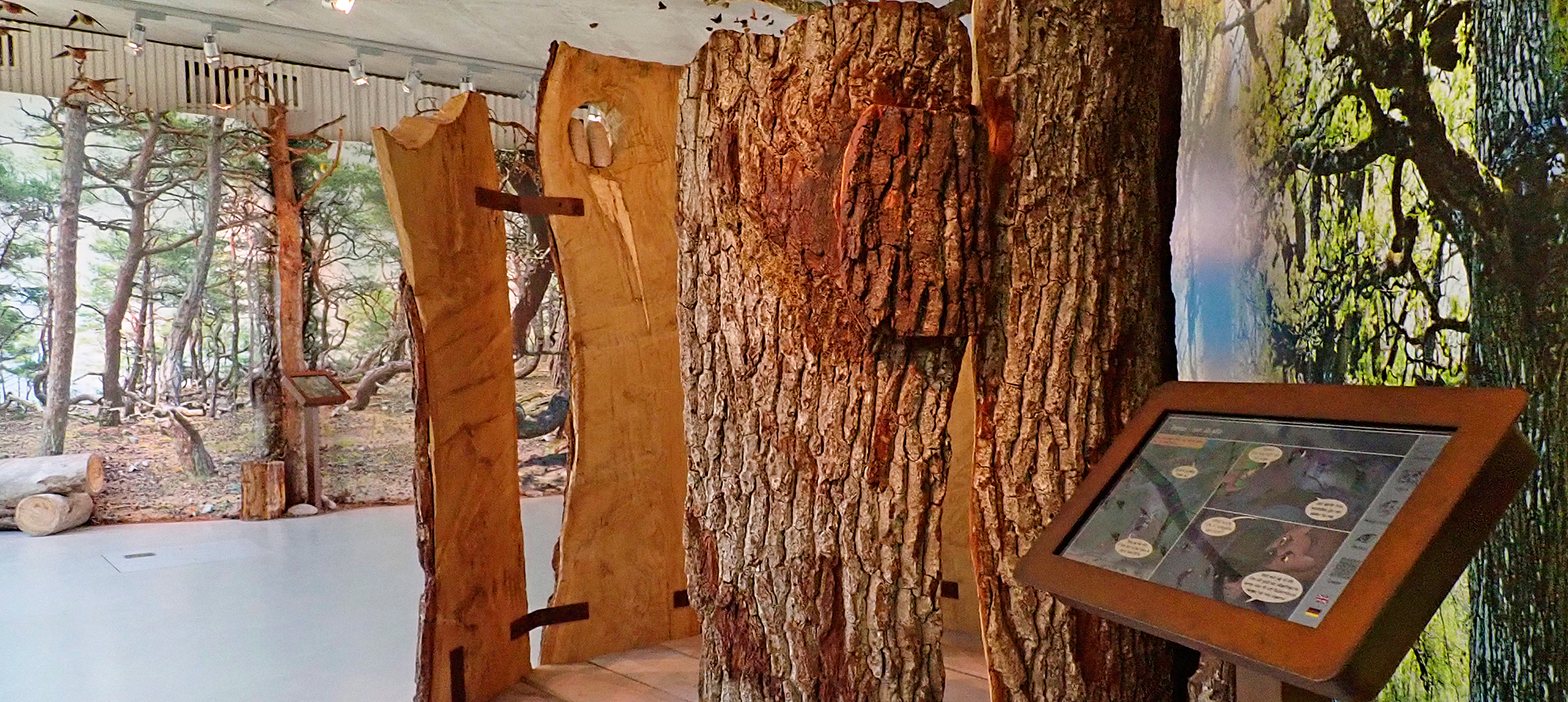 Del av utställningen i besökscentret naturum Trollskogen, på norra Öland.