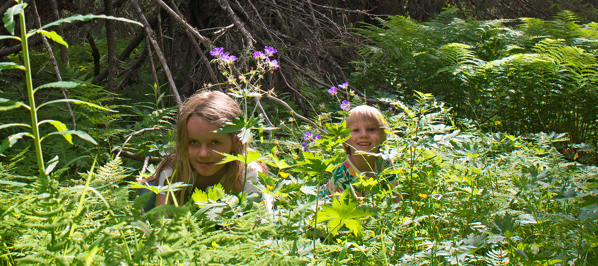 Barn som gömmer sig bland blommor och ormbunkar i skogen.